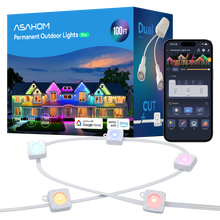 ASAHOM Permanent Outdoor Lights Pro S1080